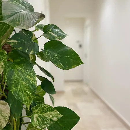 Achiropita 4* Rossano