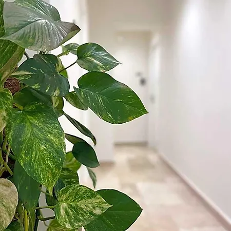 Apartahotel Achiropita Rossano