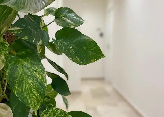 Achiropita 4* Rossano